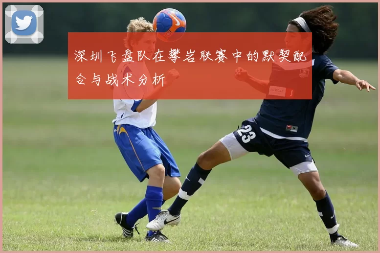 深圳飞盘队在攀岩联赛中的默契配合与战术分析
