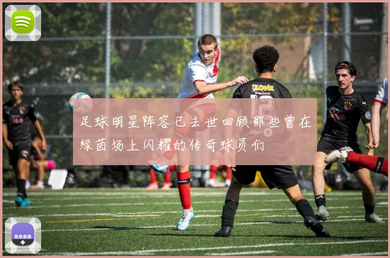 足球明星阵容已去世回顾那些曾在绿茵场上闪耀的传奇球员们