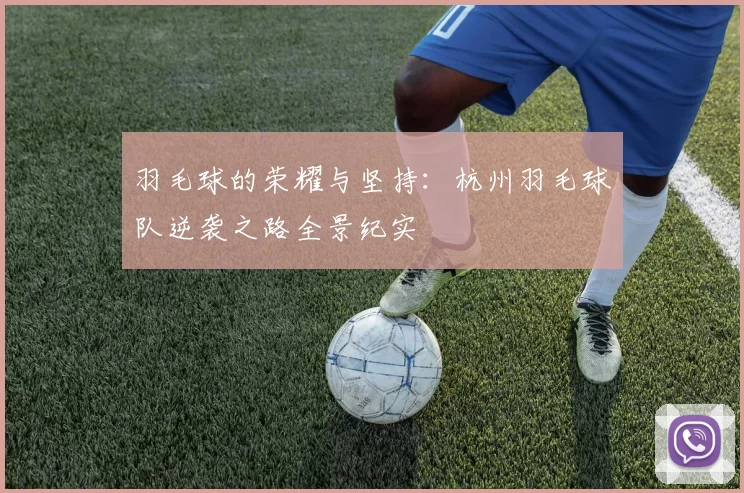 羽毛球的荣耀与坚持：杭州羽毛球队逆袭之路全景纪实