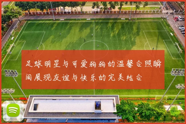 足球明星与可爱狗狗的温馨合照瞬间展现友谊与快乐的完美结合