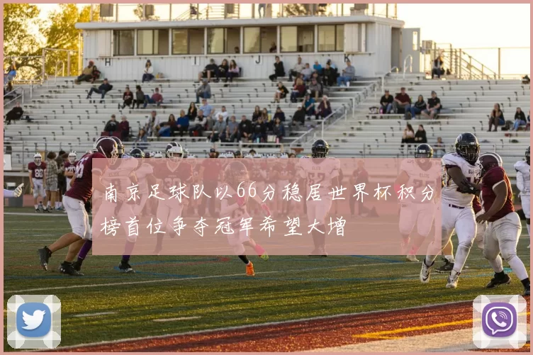 南京足球队以66分稳居世界杯积分榜首位争夺冠军希望大增