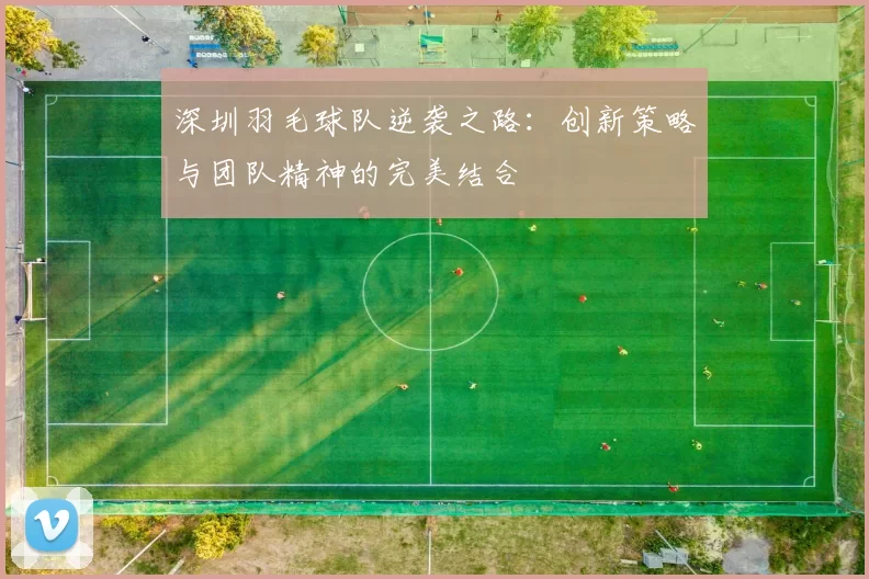 深圳羽毛球队逆袭之路：创新策略与团队精神的完美结合