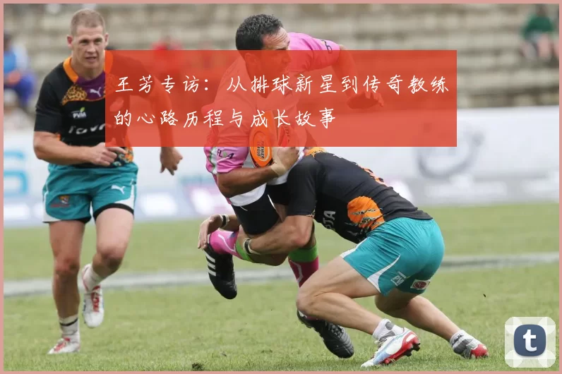 王芳专访：从排球新星到传奇教练的心路历程与成长故事