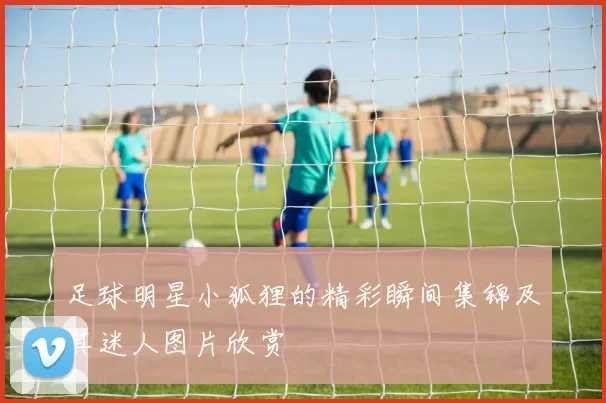 足球明星小狐狸的精彩瞬间集锦及其迷人图片欣赏