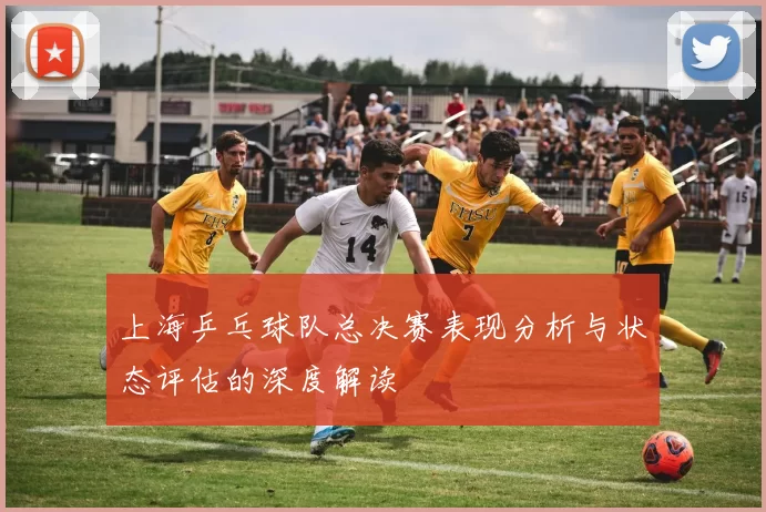 上海乒乓球队总决赛表现分析与状态评估的深度解读
