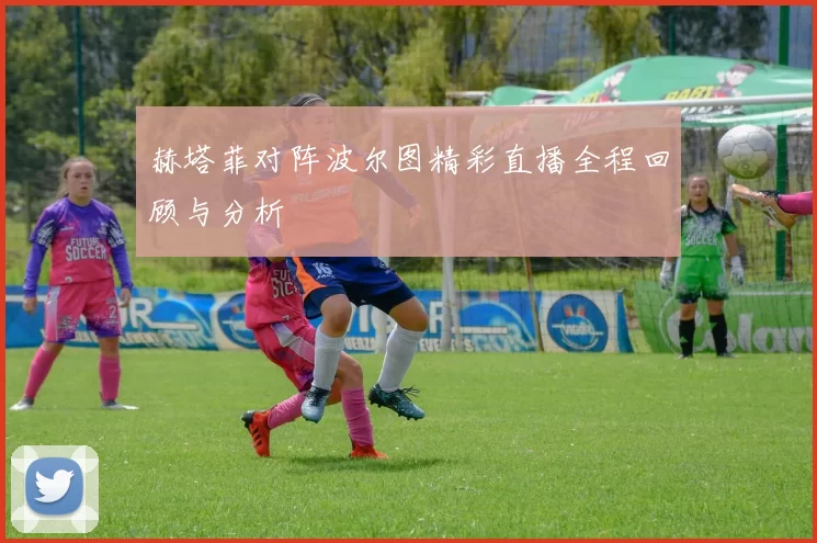 赫塔菲对阵波尔图精彩直播全程回顾与分析