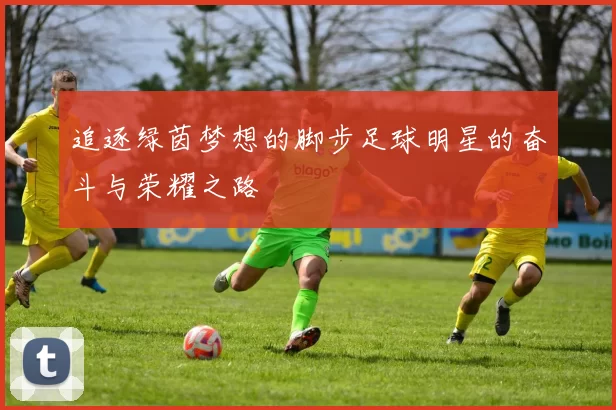 追逐绿茵梦想的脚步足球明星的奋斗与荣耀之路