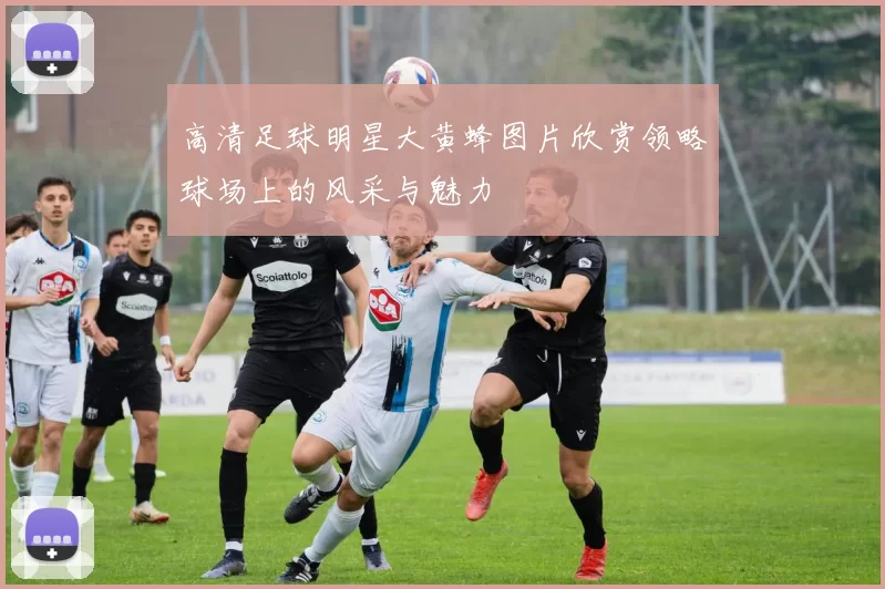 高清足球明星大黄蜂图片欣赏领略球场上的风采与魅力