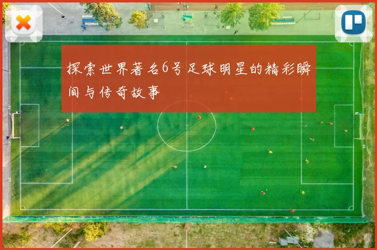 探索世界著名6号足球明星的精彩瞬间与传奇故事