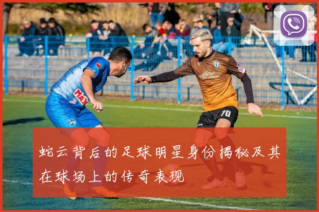 蛇云背后的足球明星身份揭秘及其在球场上的传奇表现