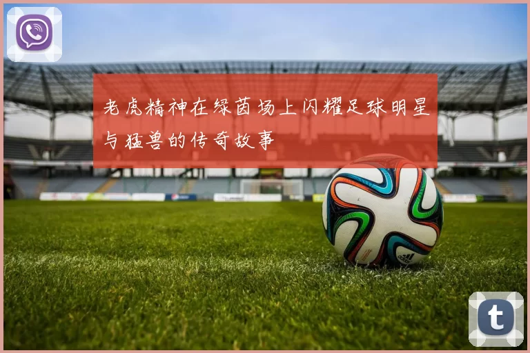老虎精神在绿茵场上闪耀足球明星与猛兽的传奇故事
