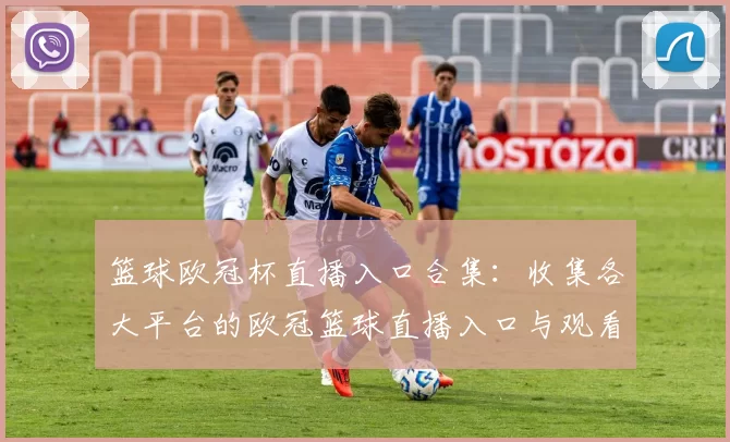 篮球欧冠杯直播入口合集：收集各大平台的欧冠篮球直播入口与观看方式